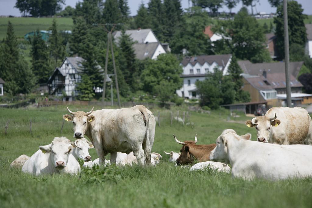 Schultenhof Balve Esterno foto